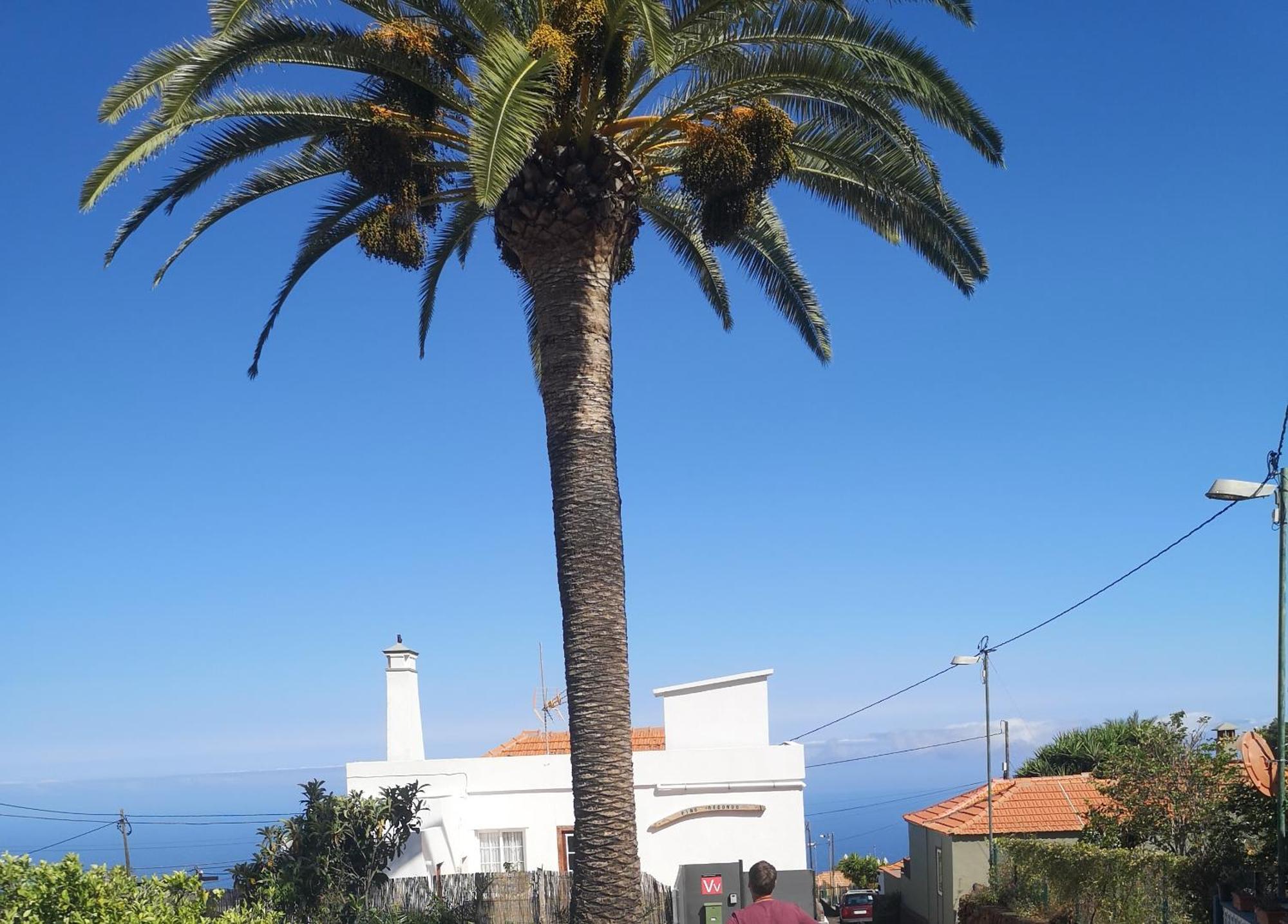 Pino Redondo Villa Puntagorda  Exterior photo